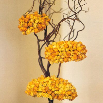 Sárga rózsákból készült gömbök mogyoró ágon