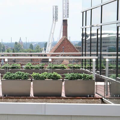 Növénydekoráció modern épület felső teraszán virágládákkal