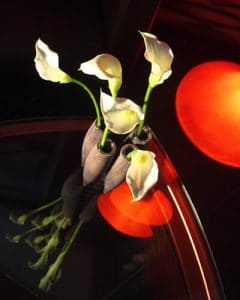 White calla lilies under orange lamp