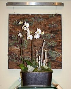 White orchids placed in leather pot