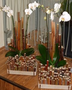 Bamboo base with white orchids