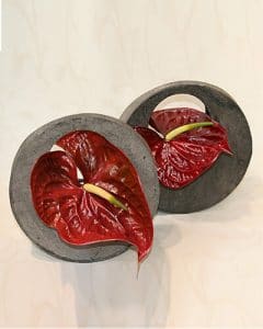 Stone vases with one stem of flamingo