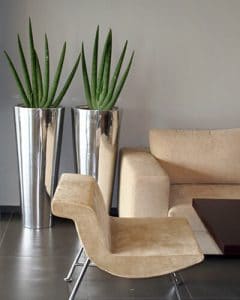 Modern design aluminium pots with cylindrica plants.