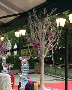 Wedding decoration with tall trees on terrace