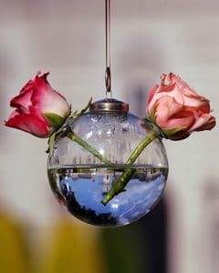 Wedding flower decoration in glass spheres with roses