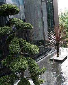 Magánház teraszának díszítése bonsaifával