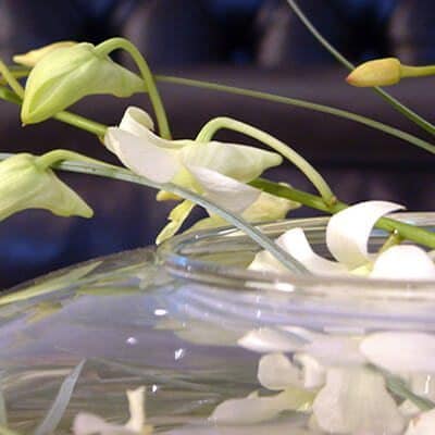 Irodai recepció díszítése orchideákkal