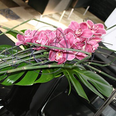 Friss virág dekoráció magánlakásban - orchideacsokor