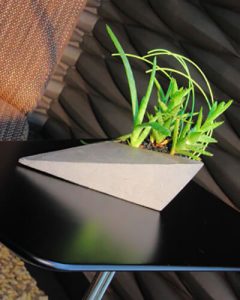 Kis design kaspóban pozsgás növények
